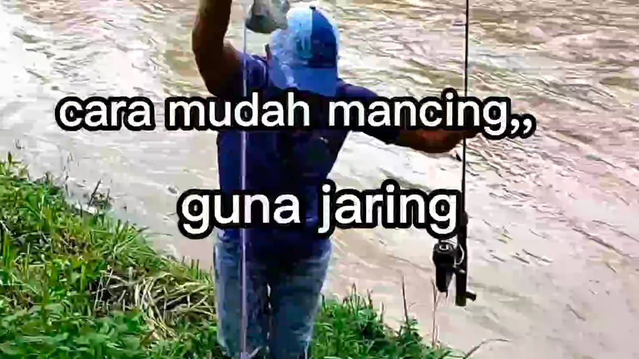 mancing guna jaring...mudah dapat ikan..talapia.