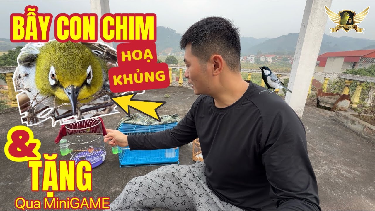 Bẫy Khuyên Nhìn Rất Gấu HOẠ CỰC TO và miniGame Mới Tặng Lồng Bẫy Siêu Vip | KTB