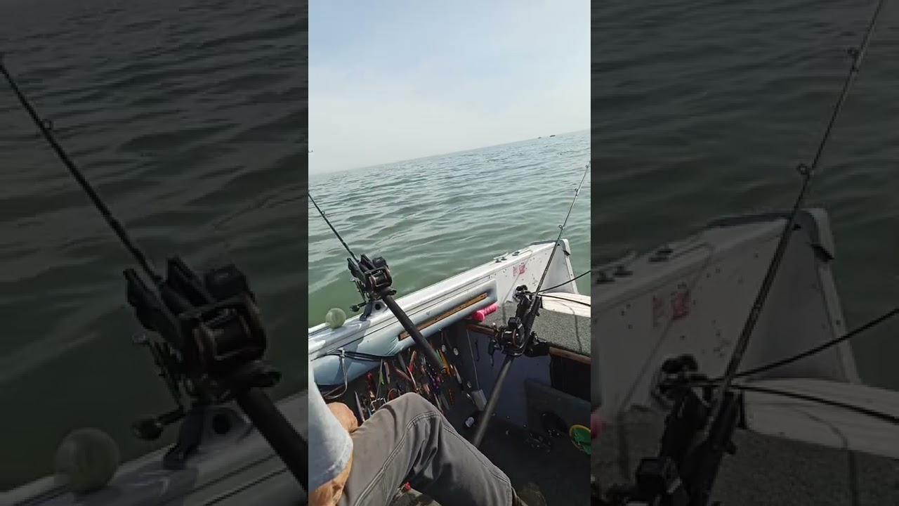 trolling for walleye, Lake Erie