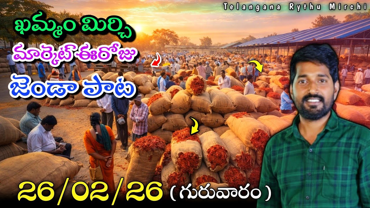 26/02/26 MIRCHI MARKET JENDA PATA TODAY🌶️🌶️ | JENDA PATA | TELANGANA RYTHU MIRCHI 💥🔥 #gunturmirchi 