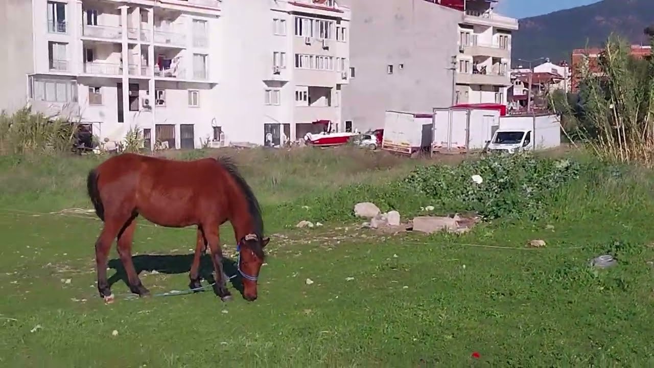 Kaş Fethiye yolculuk vlog @ertas0707 