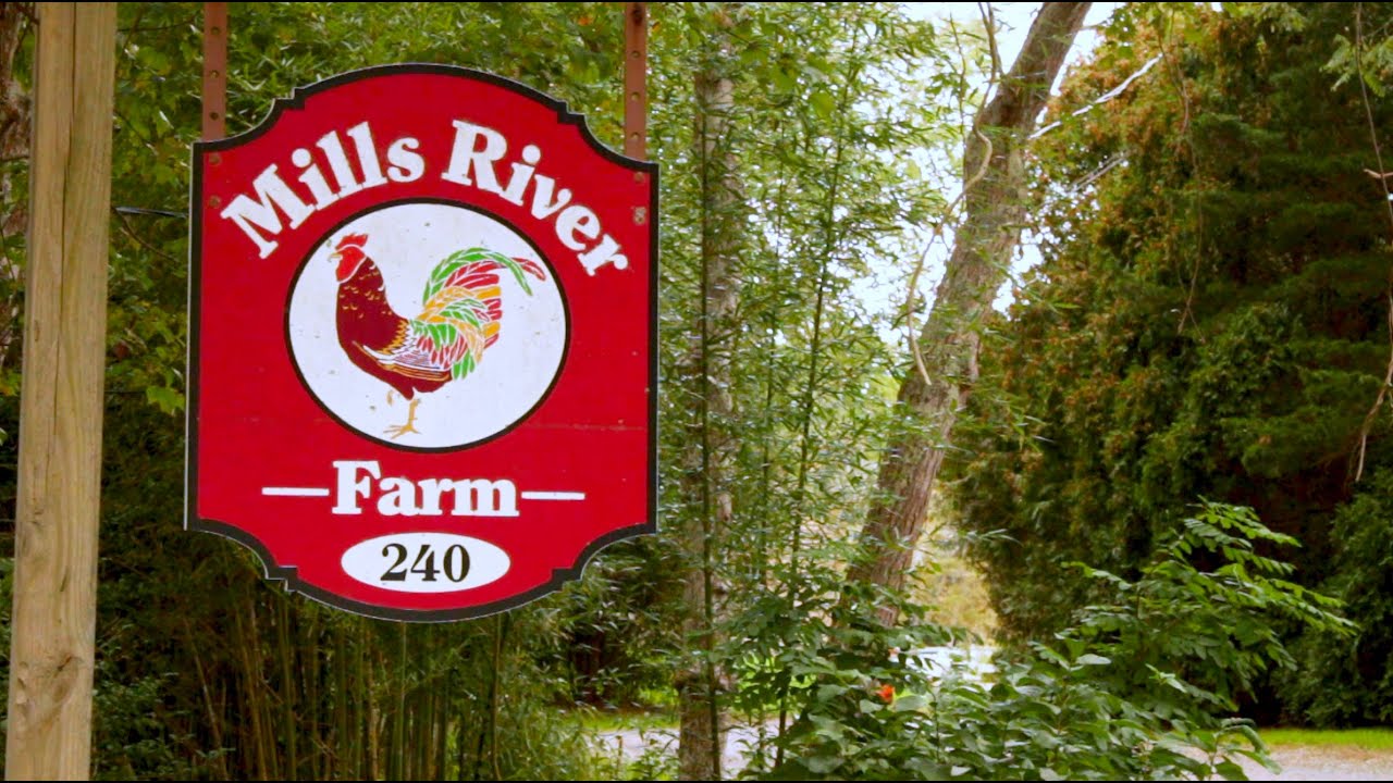 Mills River Rescue & Sanctuary Documentary
