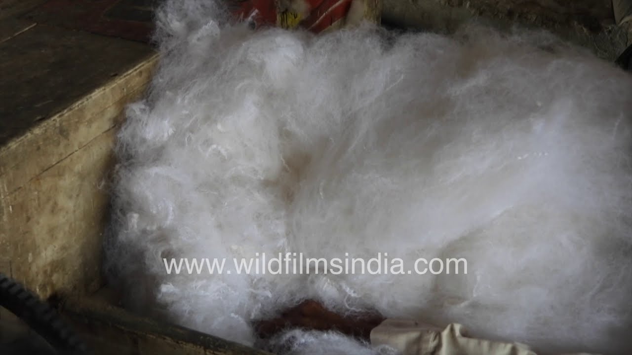 Traditional desi cotton ginning at small scale industry unit || Indian cotton factory