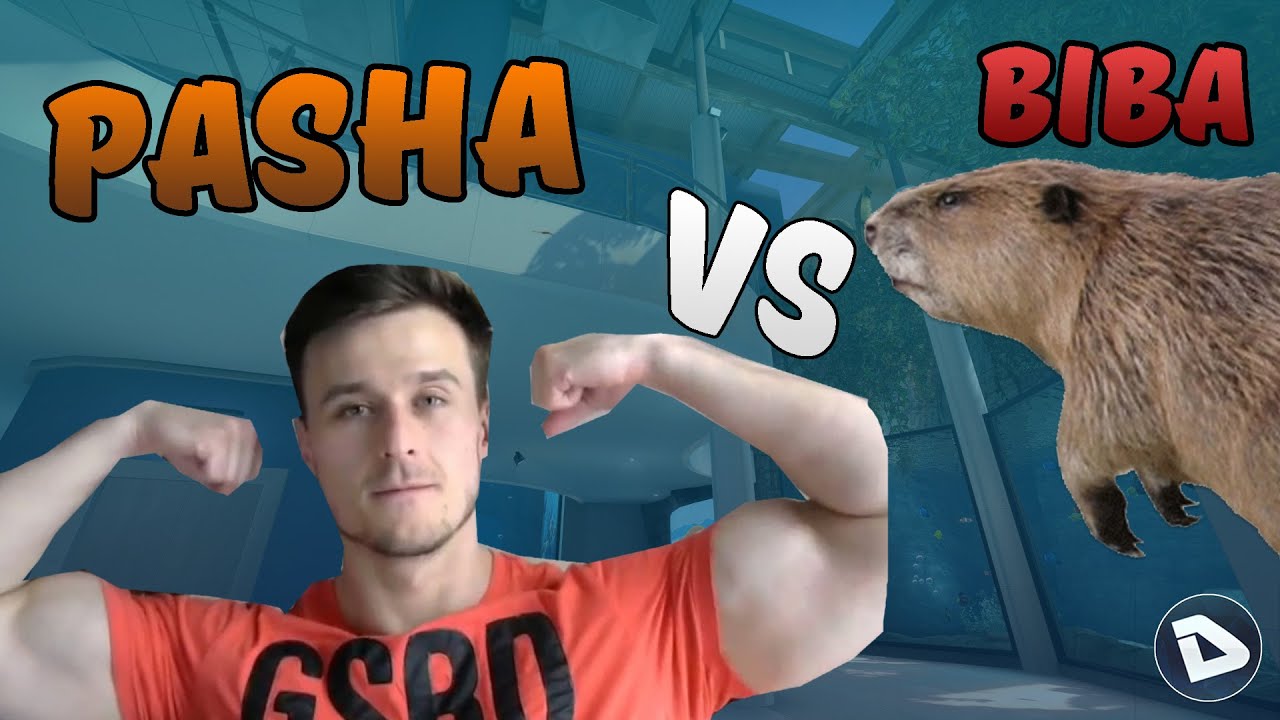 Pasha Biceps VS biBa | Lets F**K them !