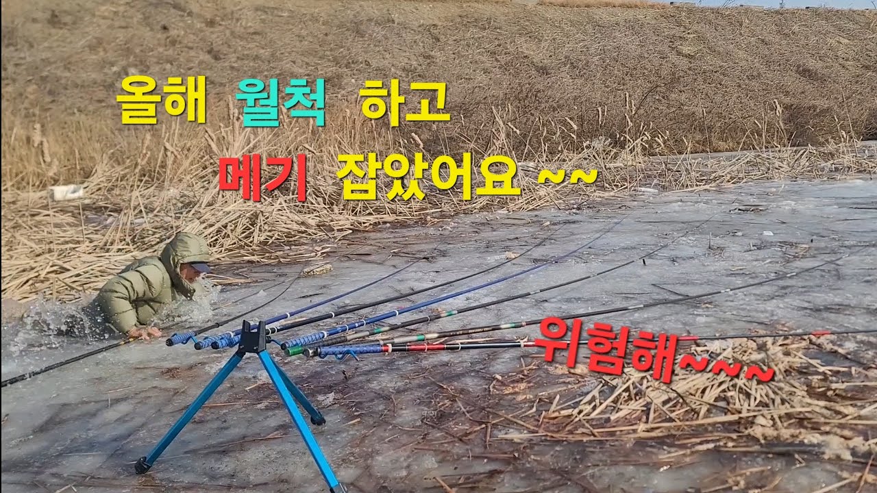 올해첫 월척 붕어 힘들게 잡았읍니다.          메기도 덤 으로 잡고요~~~ㅠㅠ