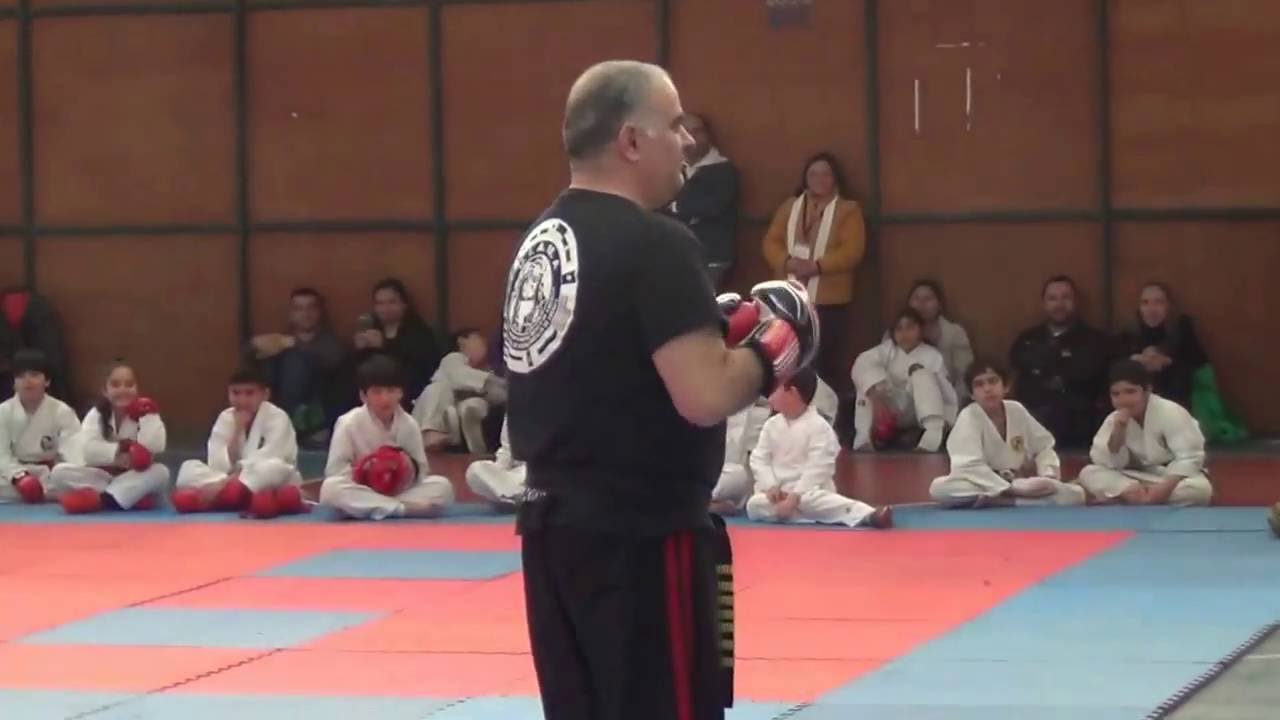 Video demo KENSAI