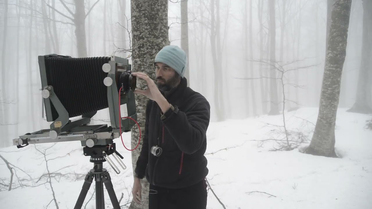 Progetto/Project 