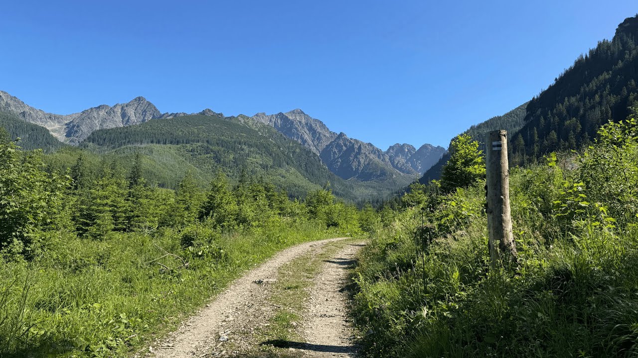 Lodowa Kopa - wejście od doliny Jaworowej przez Lodową przełęcz