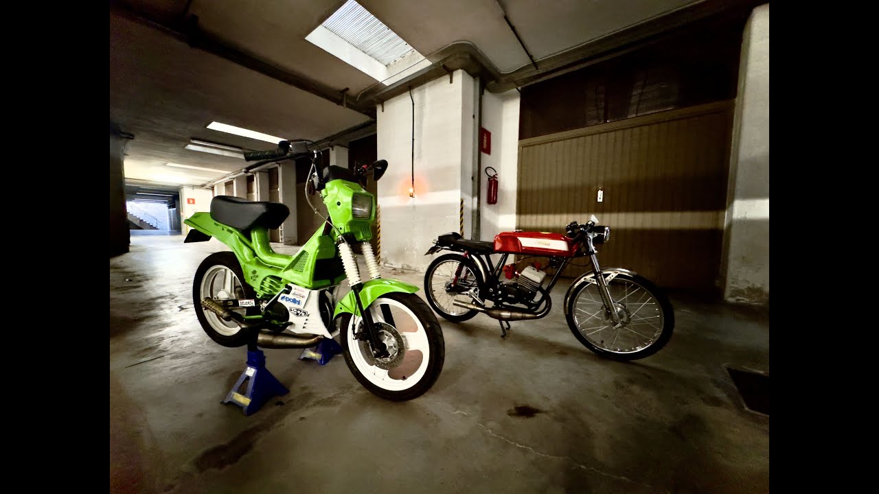 Stesino Gabbiano gioiello sport Minarelli P6