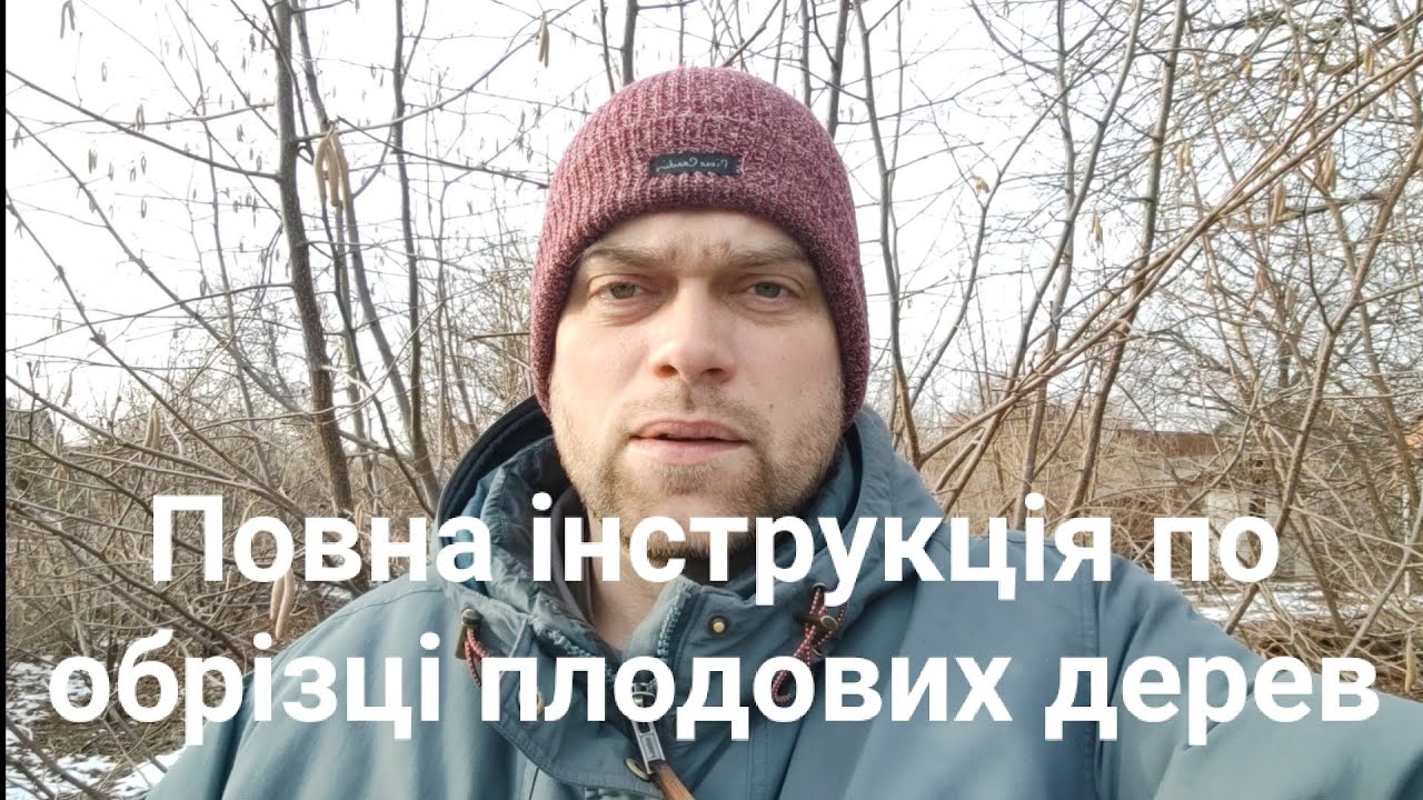 Обрізка персика, груші, черешні, яблуні, сливи, абрикосу.