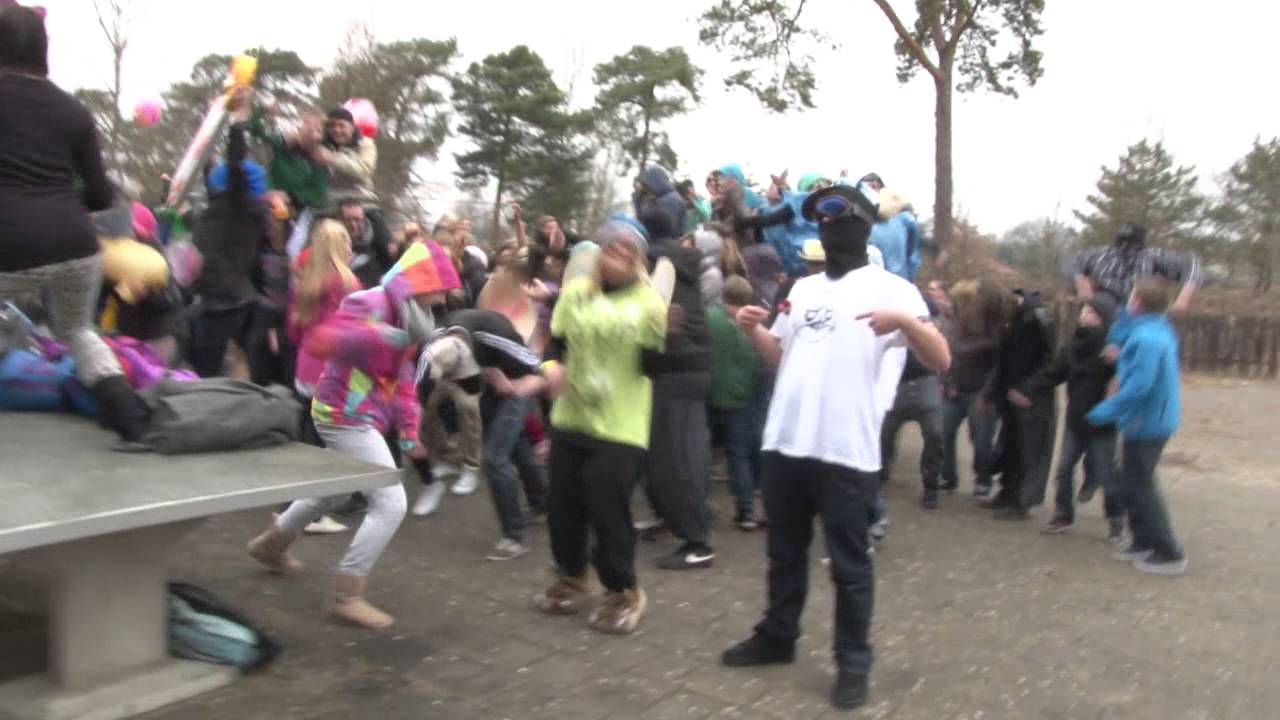 Harlem Shake Bürgelschule