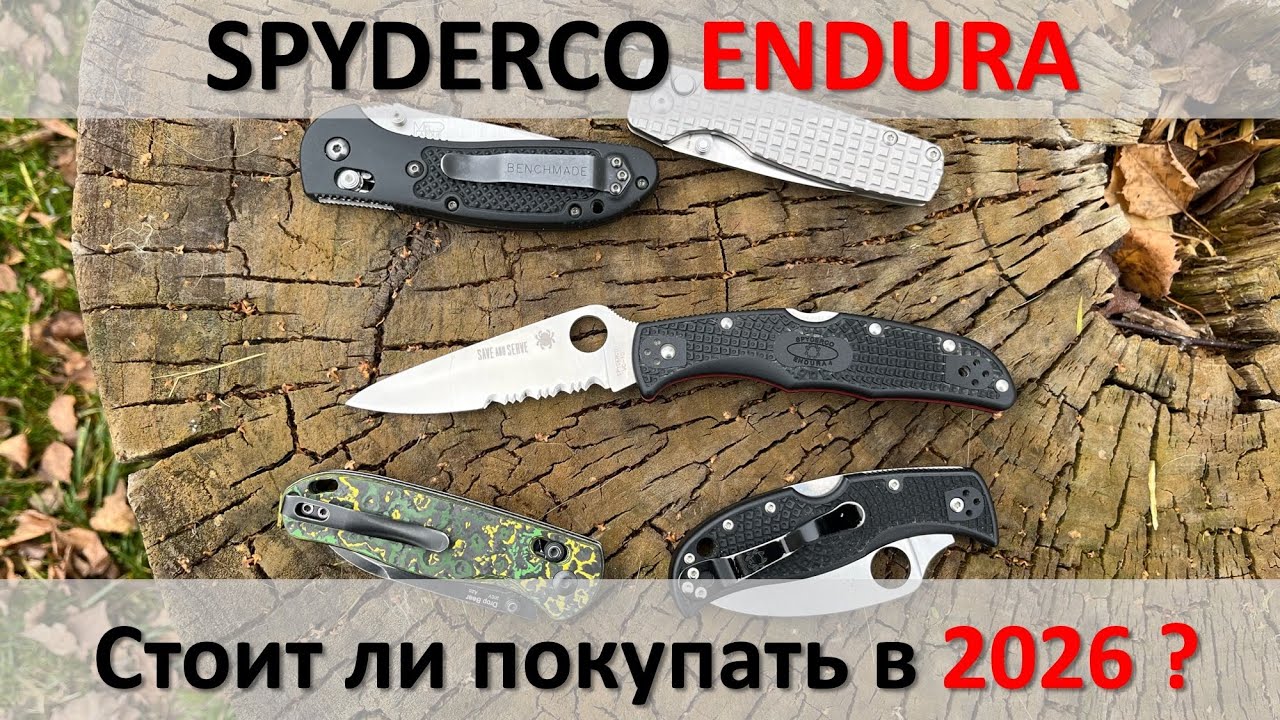 Spyderco Endura актуальность в 2026 году, обзор, опыт и сравнение