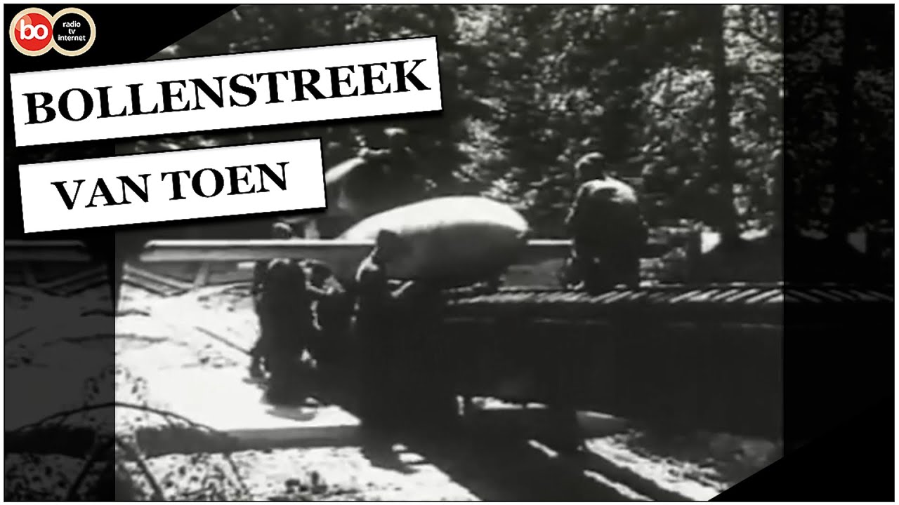 Landgoederen en buitenplaatsen in de Bollenstreek