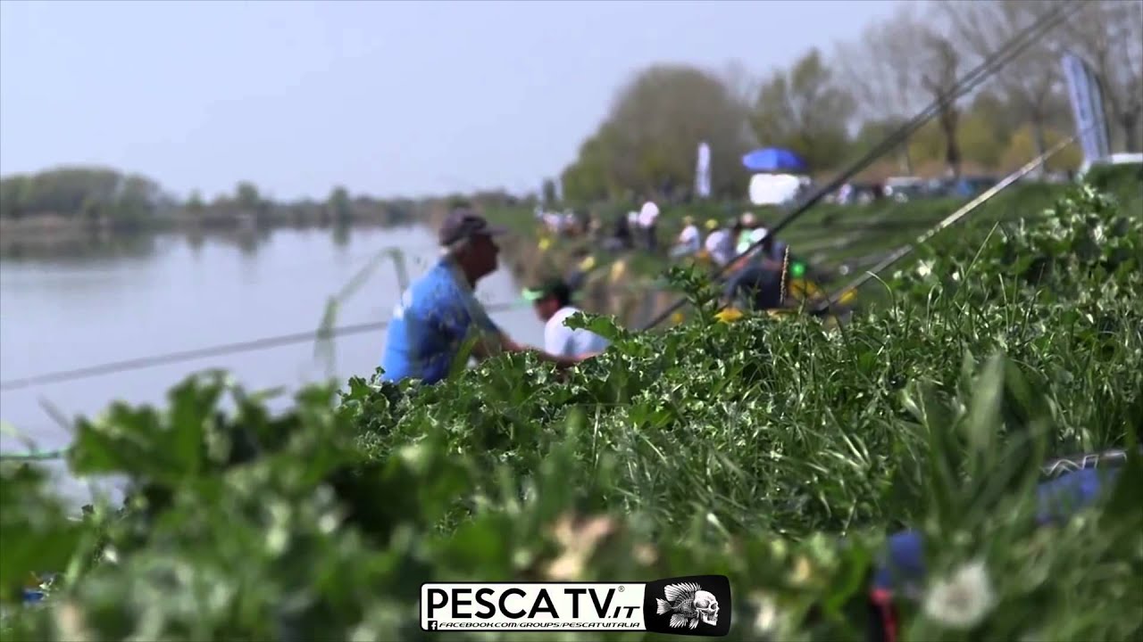 PESCA al COLPO : 7° Memorial Van Den Eynde