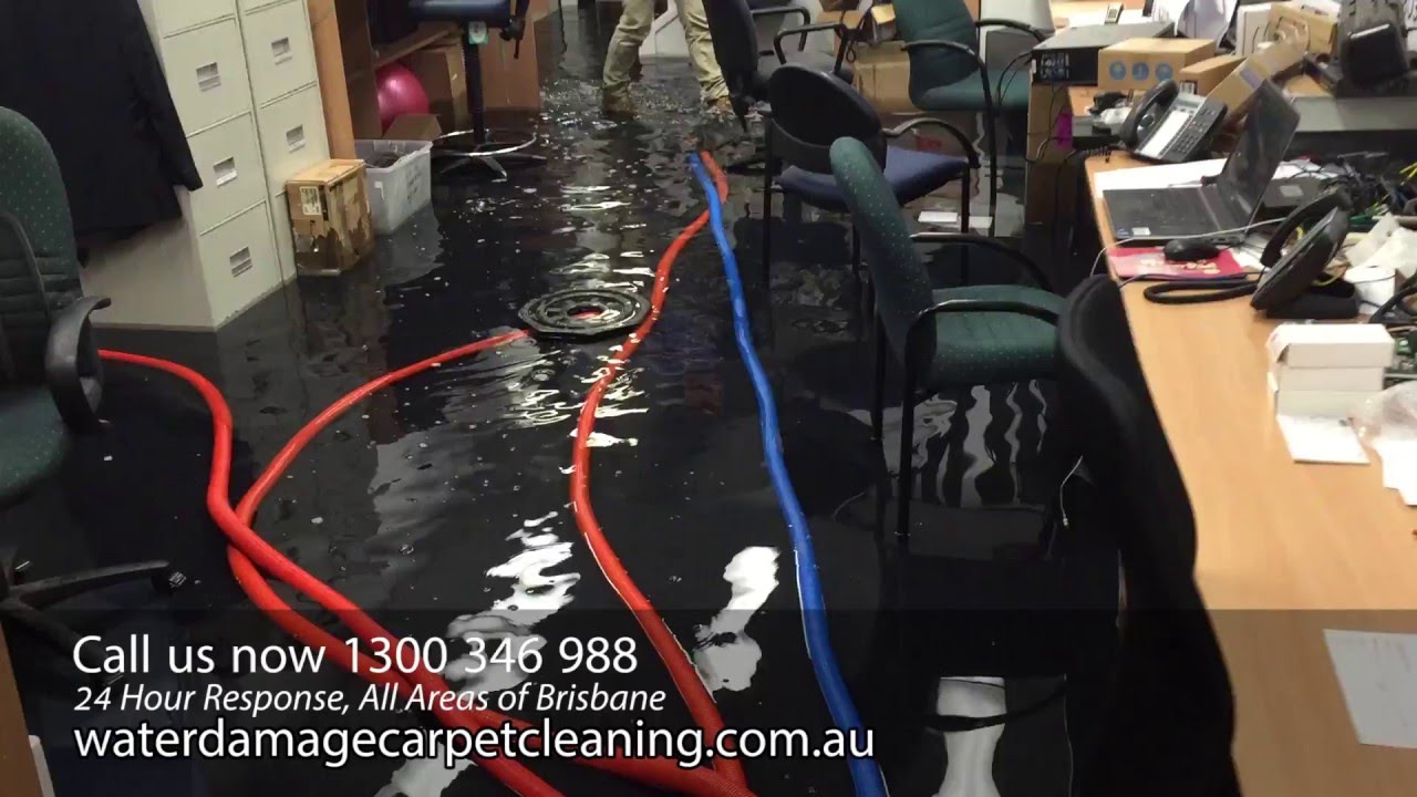 How to dry Water Damage Carpet (Cleaning in Brisbane & Sydney)