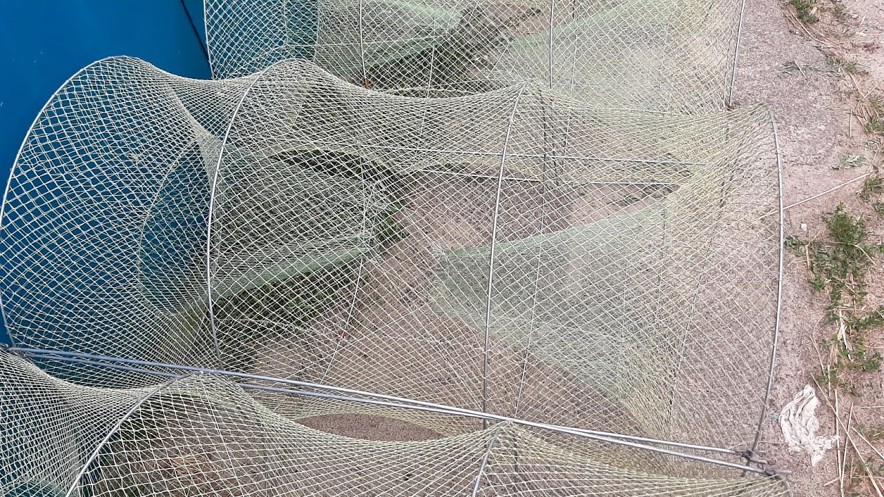 Ятерь-РАКОЛОВКА. Продажа ятерь, раколовка, верша, мережа, морда, жак.