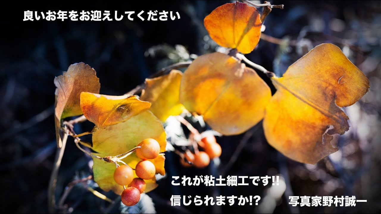 【野村誠一写真塾No367】「信じられますか？ これ、すべて“粘土”です｜牛嶋先生の世界」
