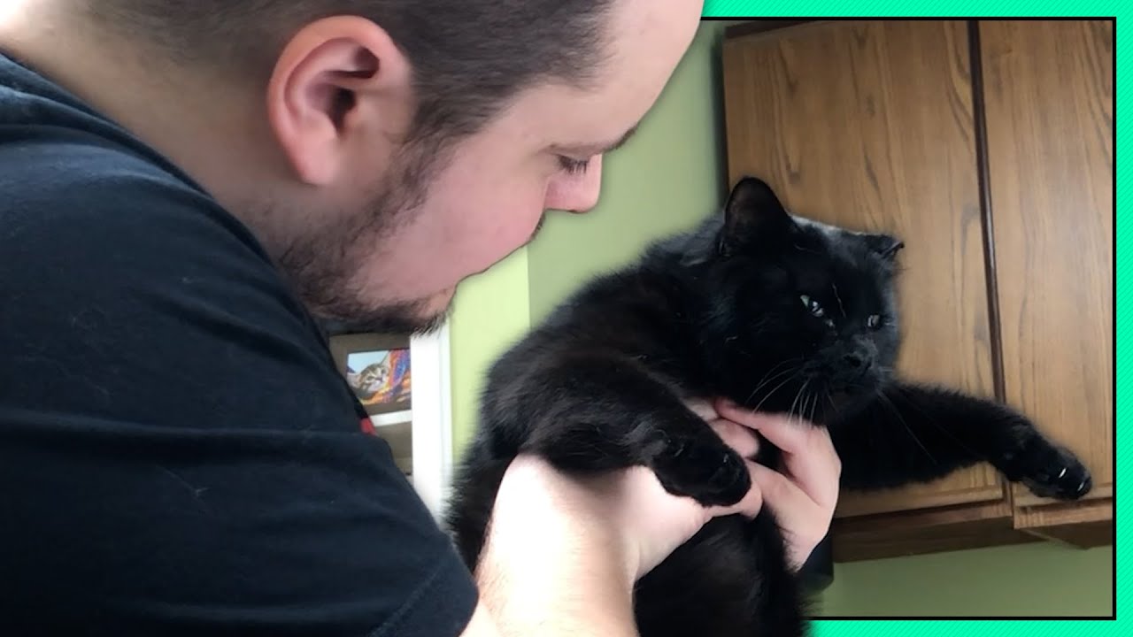 He Wants to Eat Himself • 08.21.24