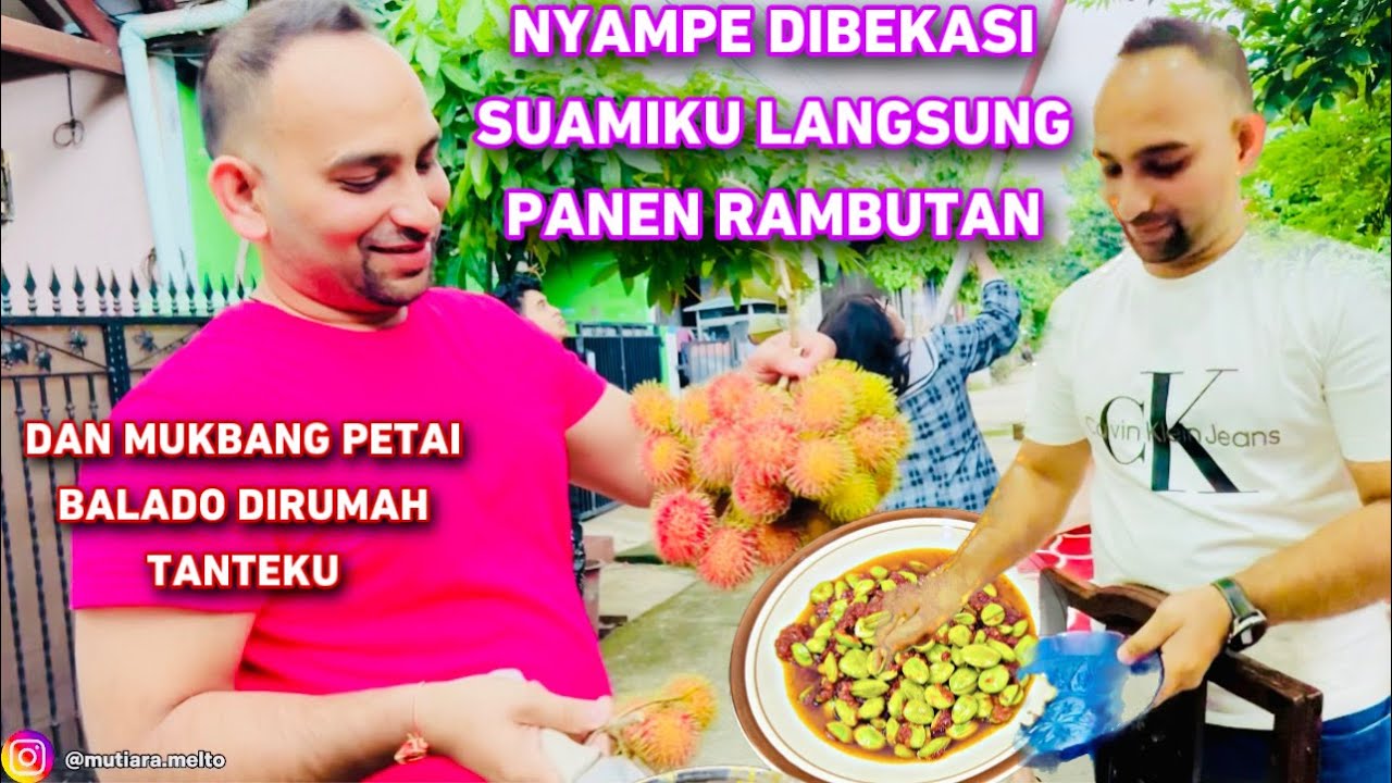 SUAMIKU PANEN RAMBUTAN, HABIS ITU BHAILU MUKBANG PETAI BALADO DI RUMAH TANTEKU
