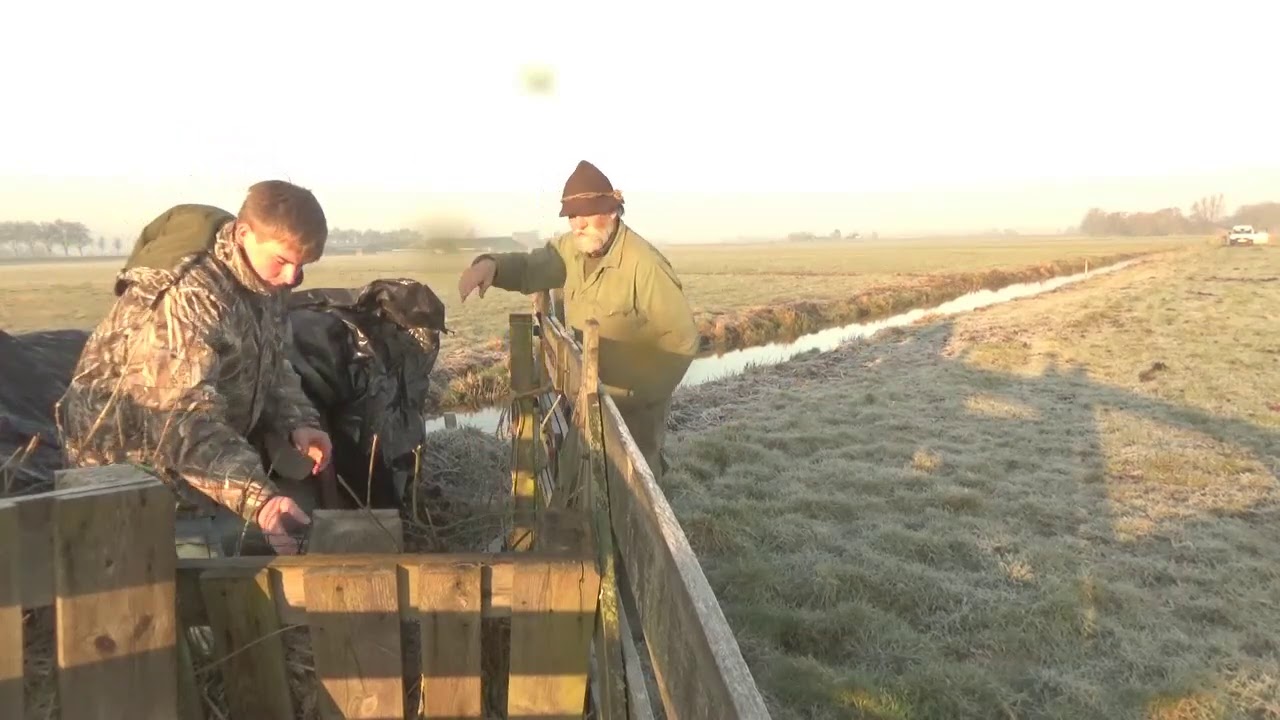 Jagen vossenplaag met Sam