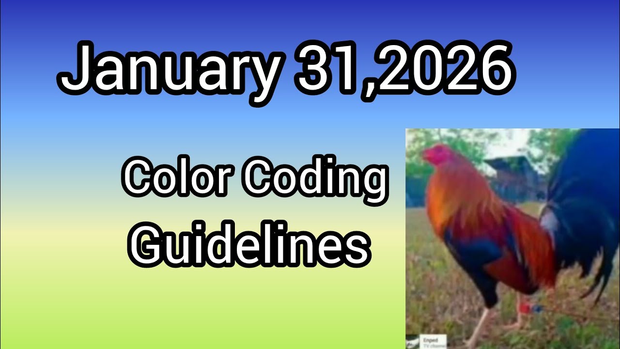 January 31,2026 Color Coding Guidelines 
