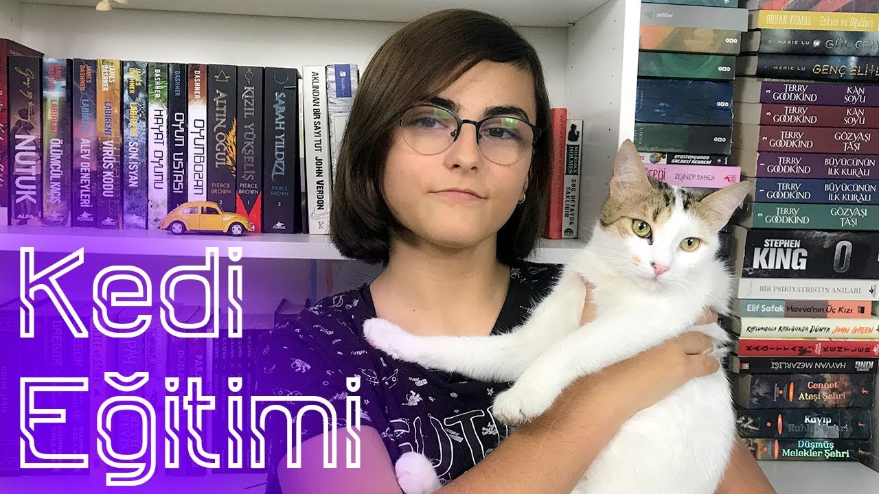 Kedi Eğitimi /Kedim beni ısırıyor ne yapmalıyım?