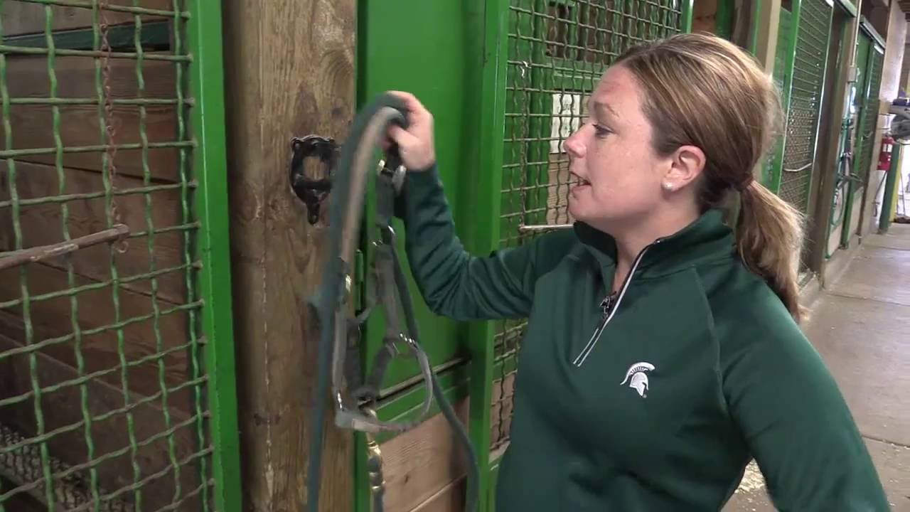 Horse Stall Features