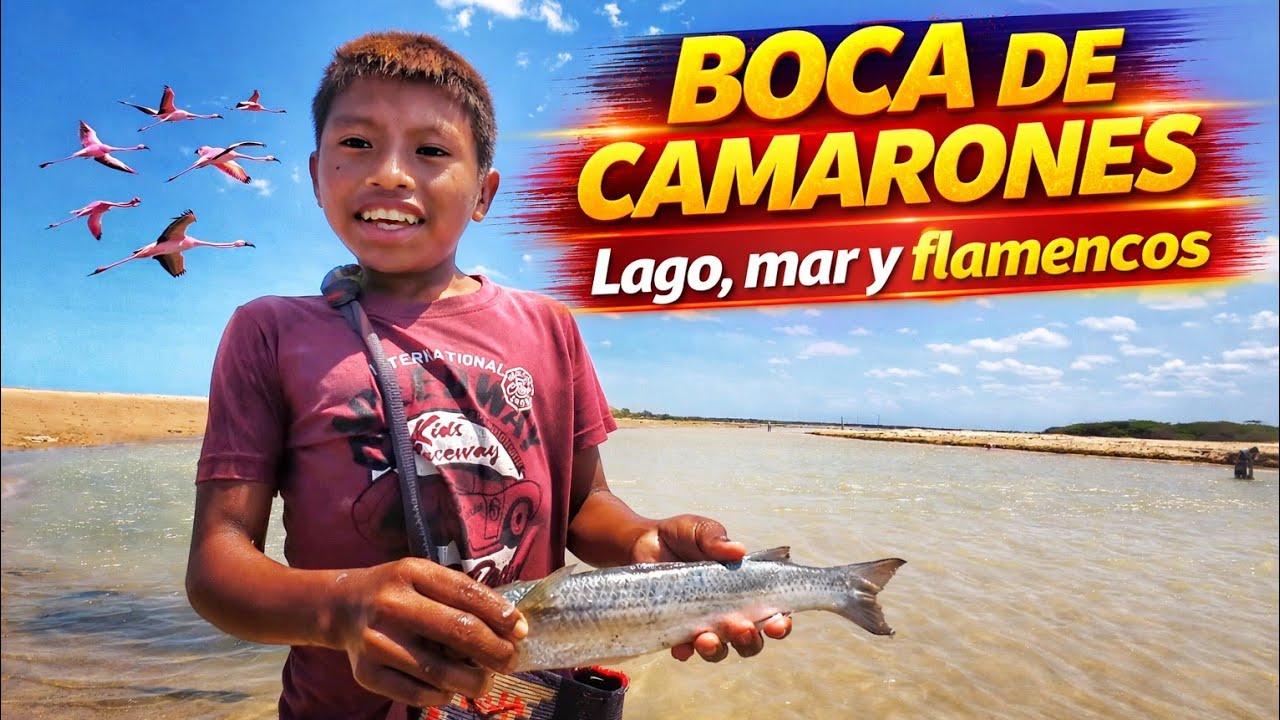 🇨🇴 BOCA DE CAMARONES La Guajira Colombia 😱🔥 Guía completa Qué hacer | Dónde Hospedarse | Dónde comer