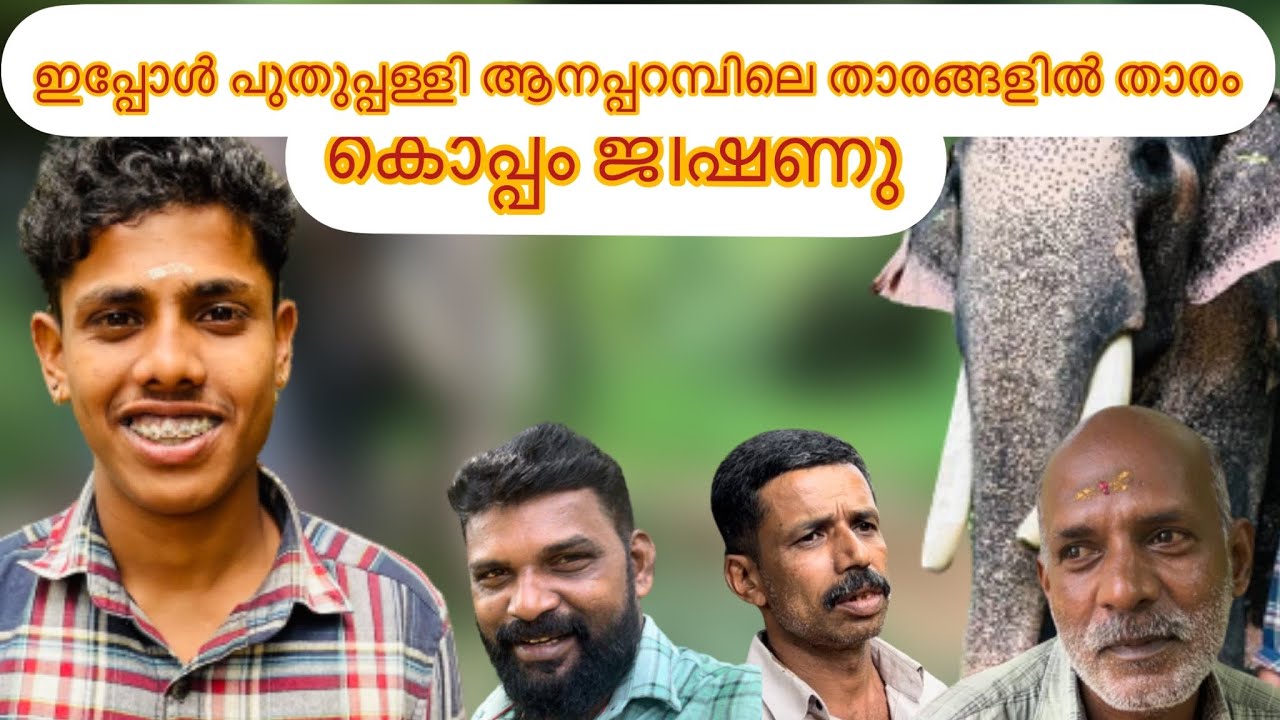 ഇപ്പോൾ ആനപ്പറമ്പിലെ താരങ്ങളിൽ താരം കൊപ്പം ജിഷ്ണു |Koppam Jishnu | MK channel |