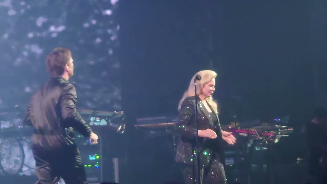 David Hallyday et Sylvie Vartan - Quelque chose de Tennessee - Paris - 12/11/2024