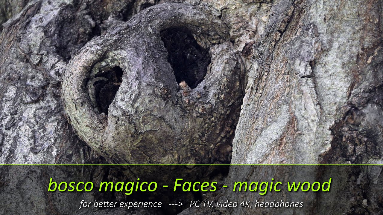 Faccine nel Bosco Magico (n.11) - Faces Magic Wood
