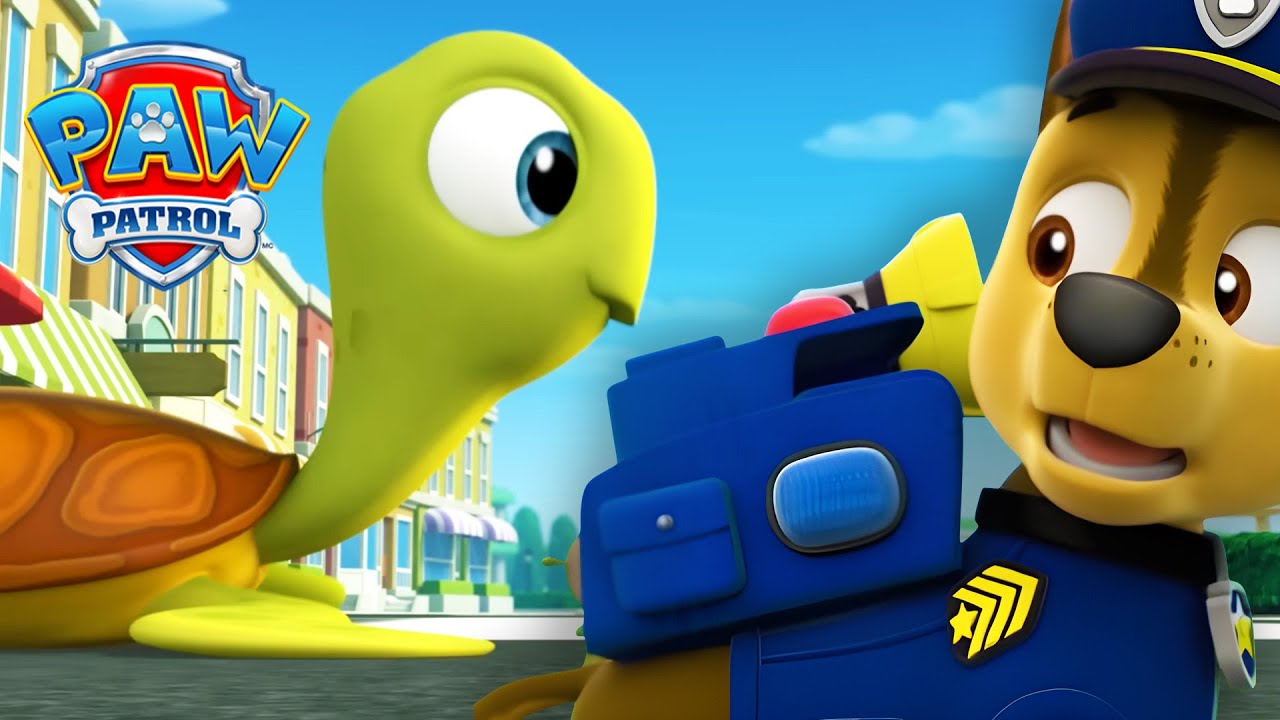 Como as tartarugas atravessam a estrada?! 🐢 - Patrulha Canina PAW Patrol