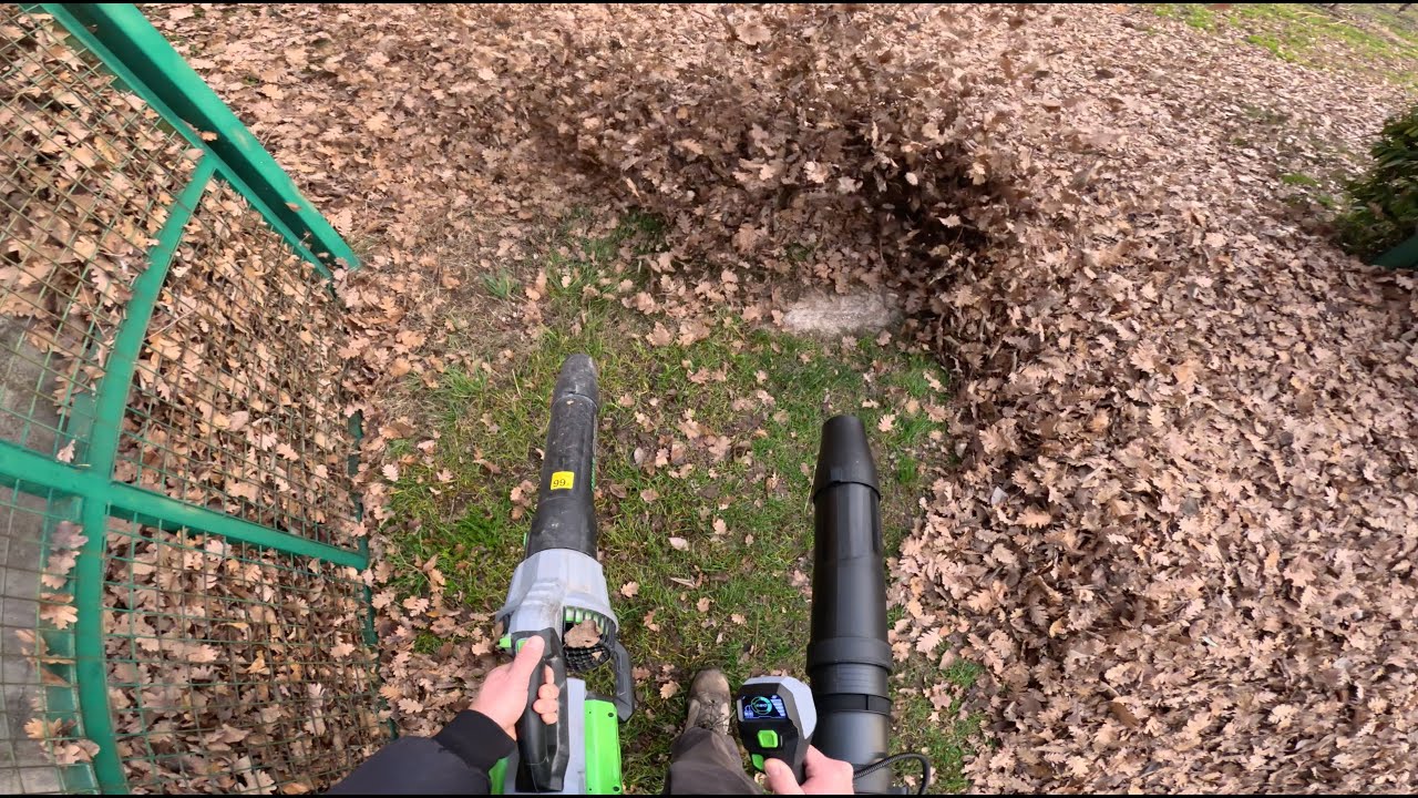 Pulizia Giardini (Video integrale)
