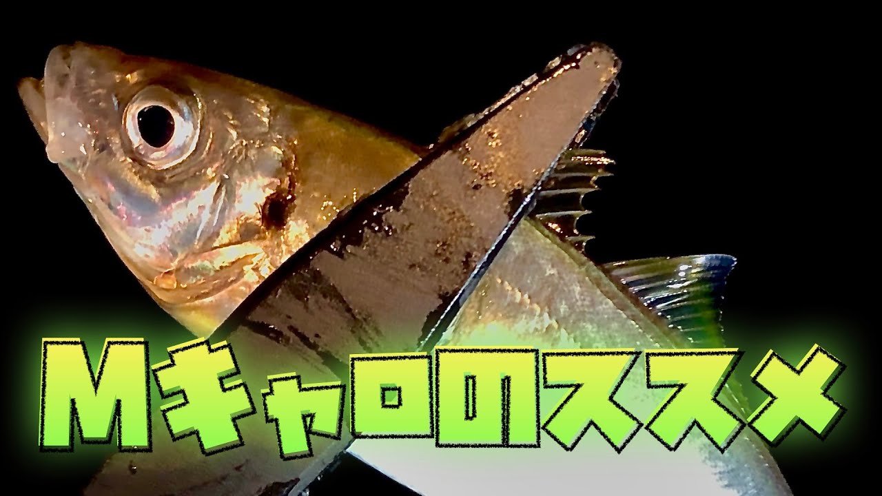 Mキャロで爆釣❗️