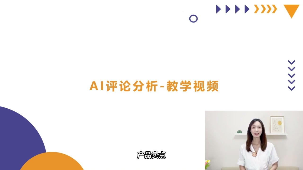 卖家精灵-评论分析 | 视频教程