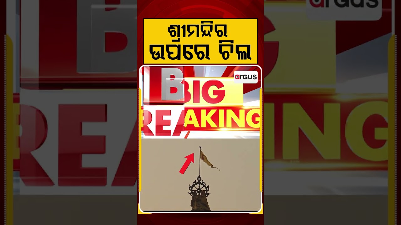 ଶ୍ରୀମନ୍ଦିର ଉପରେ ଚିଲ | Eagle Seen Sitting On Puri Jagannath Temple | Argus Reels