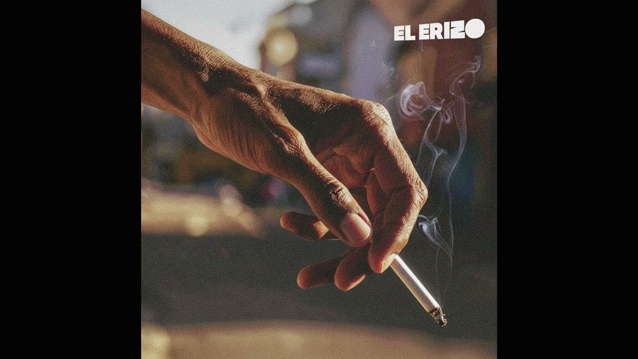 El erizo - High (Boom Bap Lo-Fi Instrumental Beat)