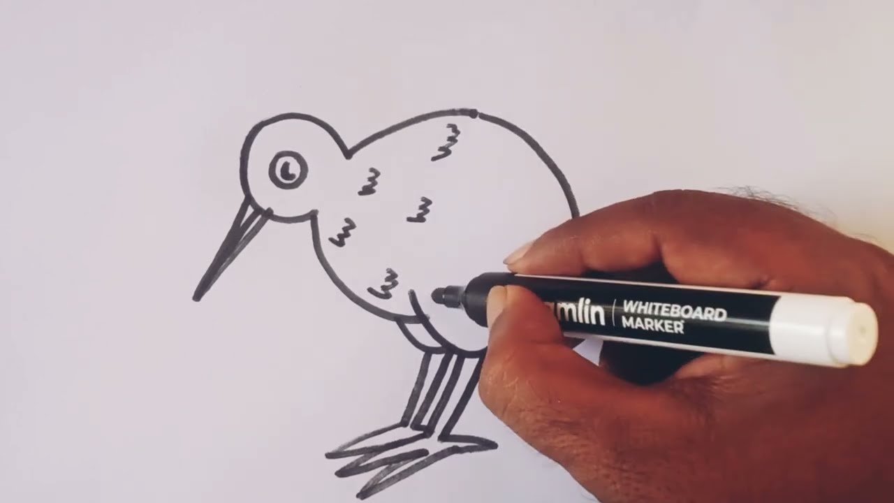 How to draw a kiwi bird / kiwi bird drawing easy step by step /bird drawing