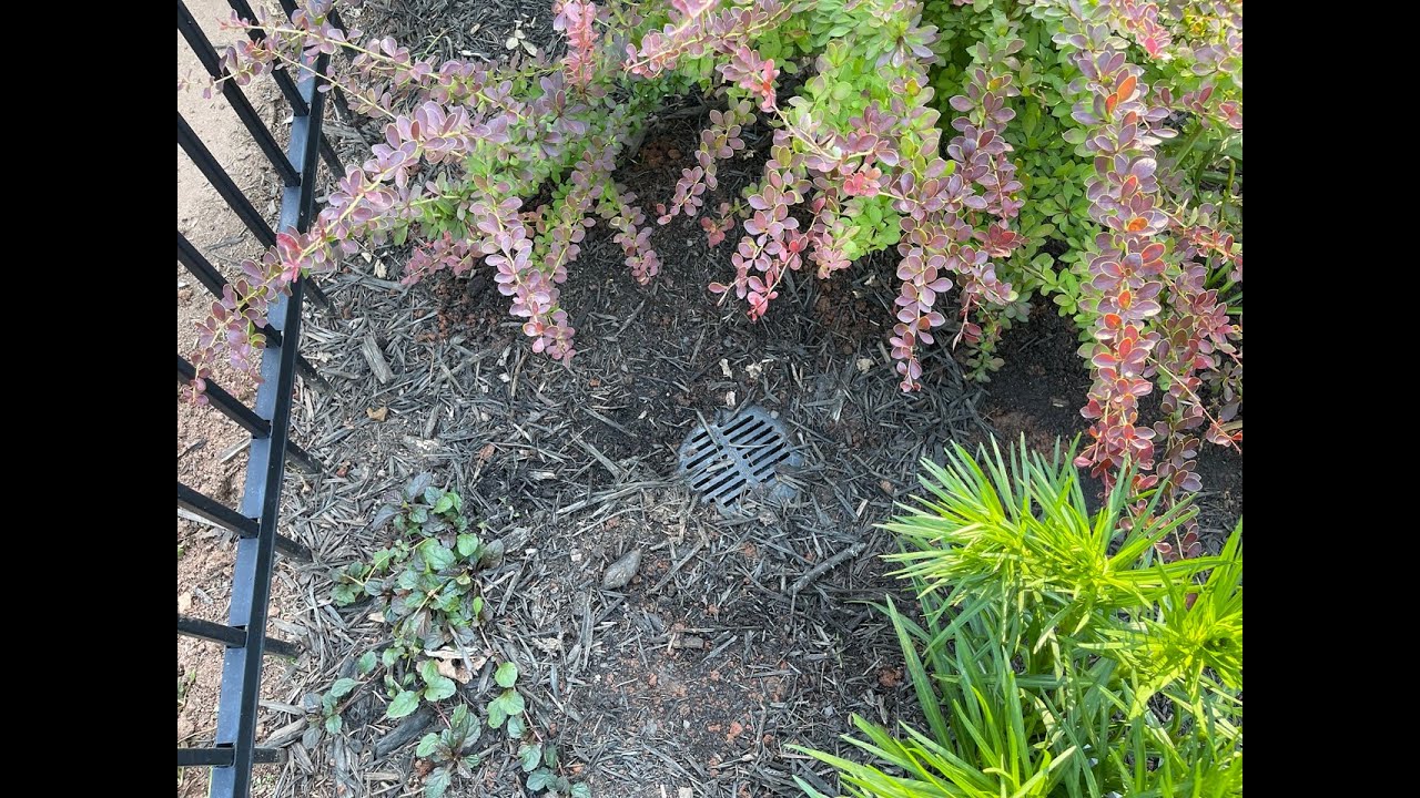 Installing a Vertical Drainage for less than $35 💦🕳️