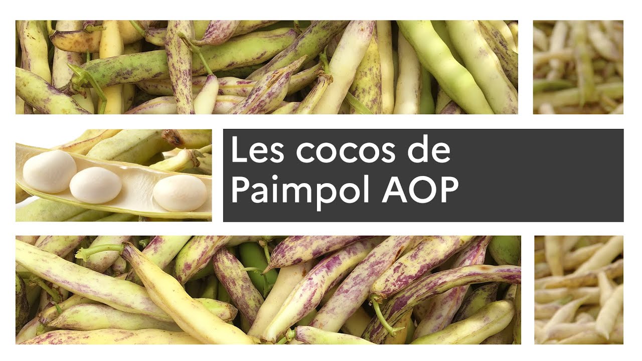Un produit, un territoire : le coco de Paimpol