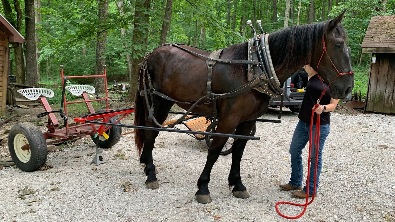 Genevas first time in a Fore cart