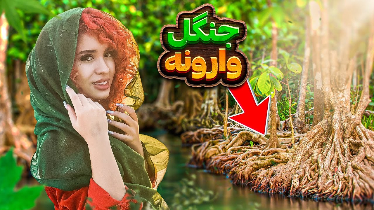 عجیب‌ترین جنگل دنیا وسط آب‌های قشم!