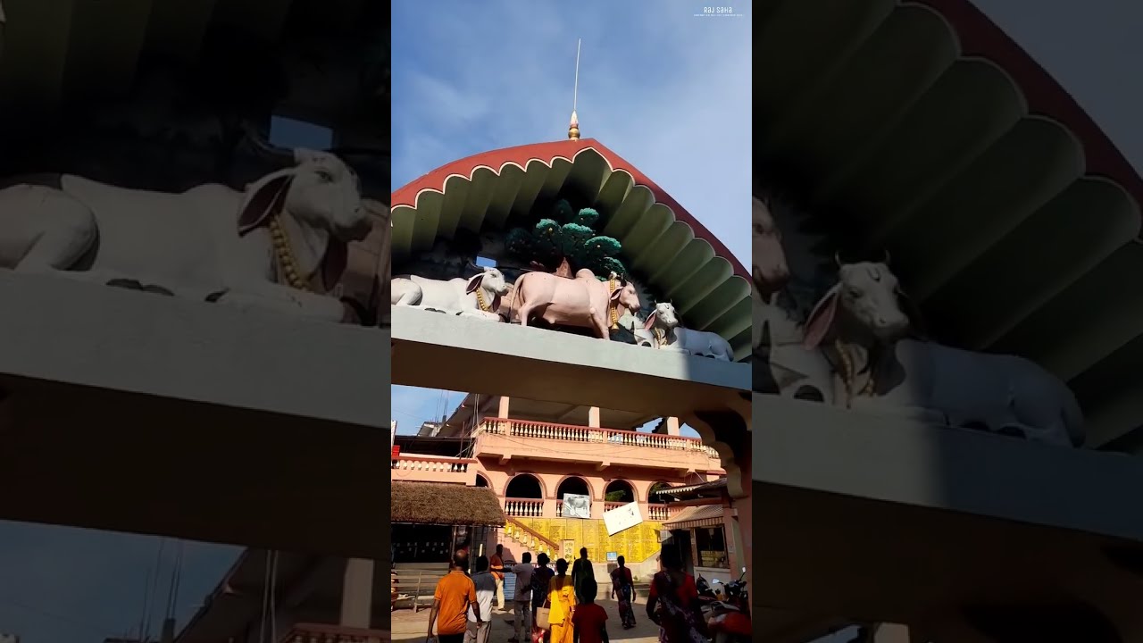|| Mayapur ISKCON Goshala || Raj saha Vlogs || ISKCON vlog 2023 ||