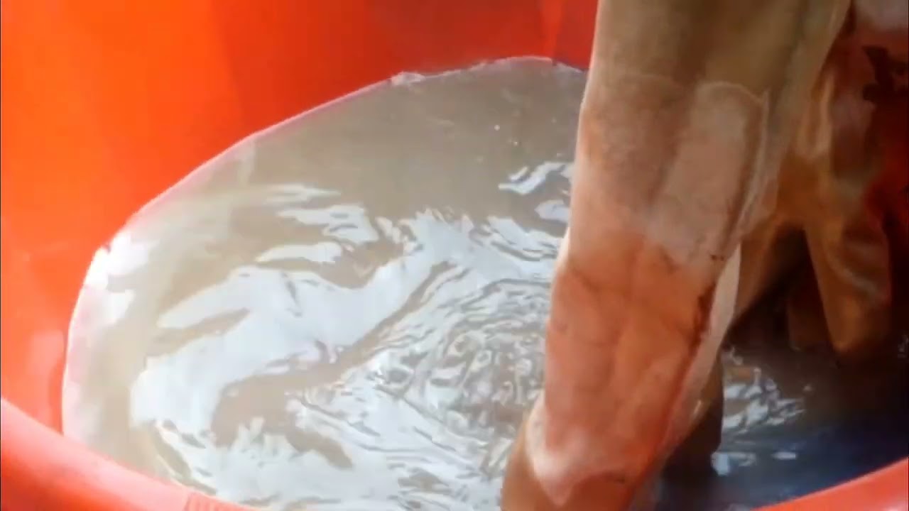 Learn Online Silver Recovery from X-ray Films | Low Fee | Profitable Silver Business | 