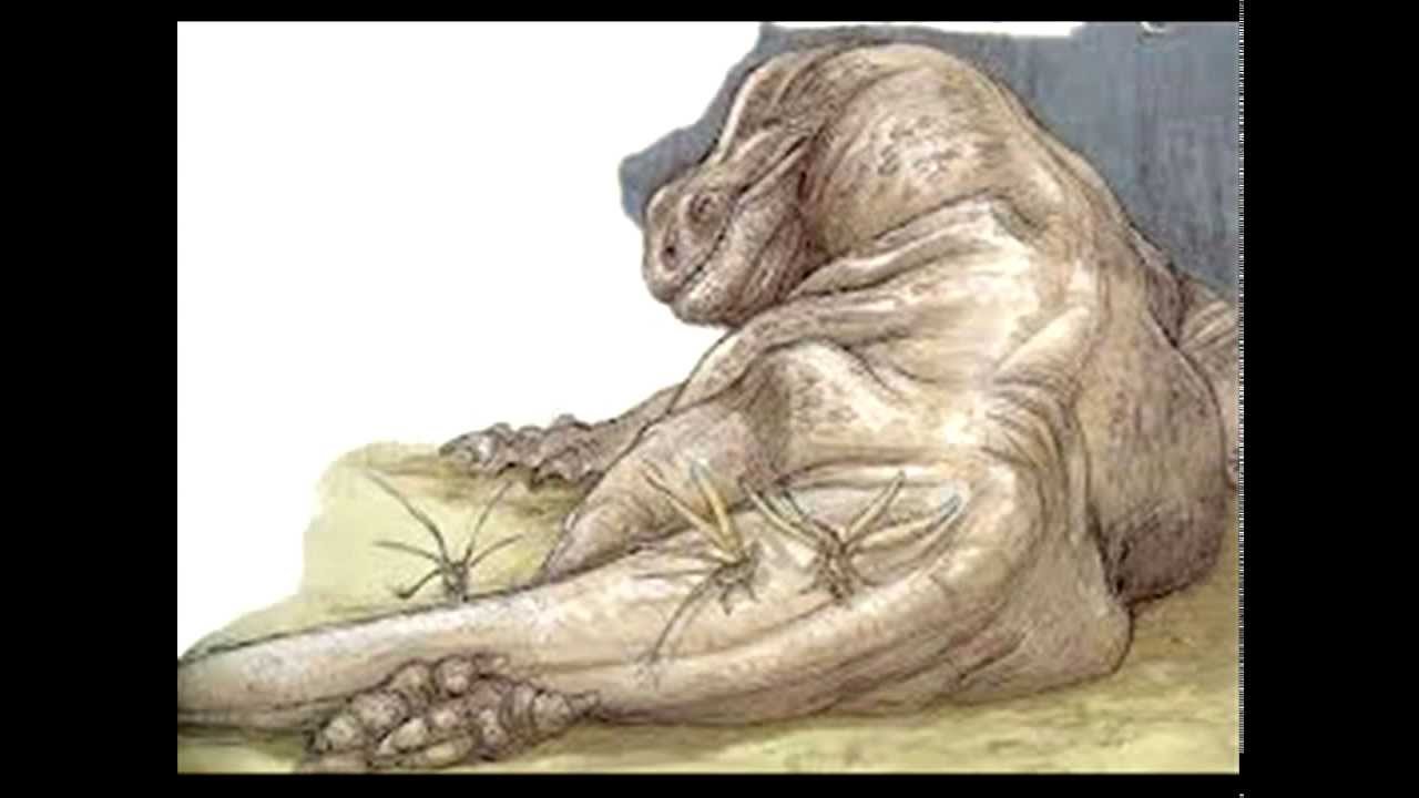 Let's Learn Star Wars Episode XVII Dewback (Species)