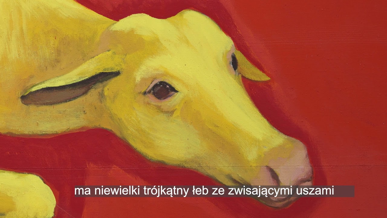 Ryszard Woźniak 