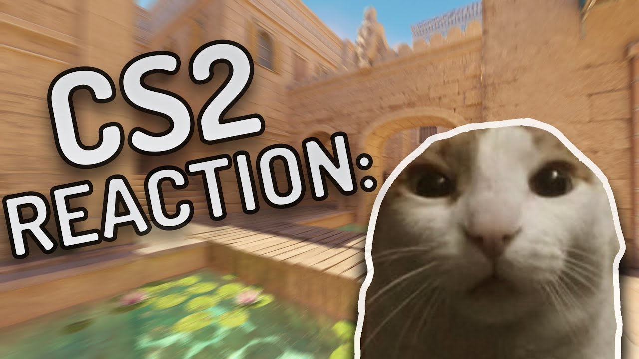 actual CS2 reaction: