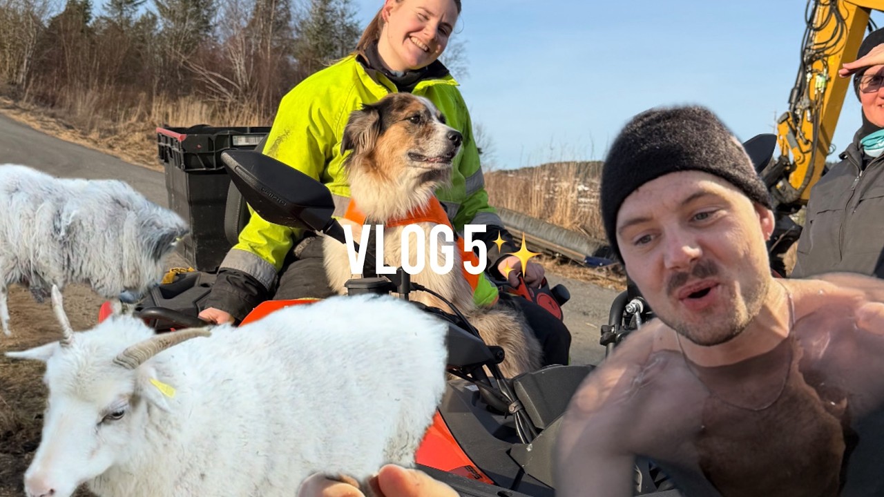 A Day On the Farm & Ice Bathing In The Fjord!