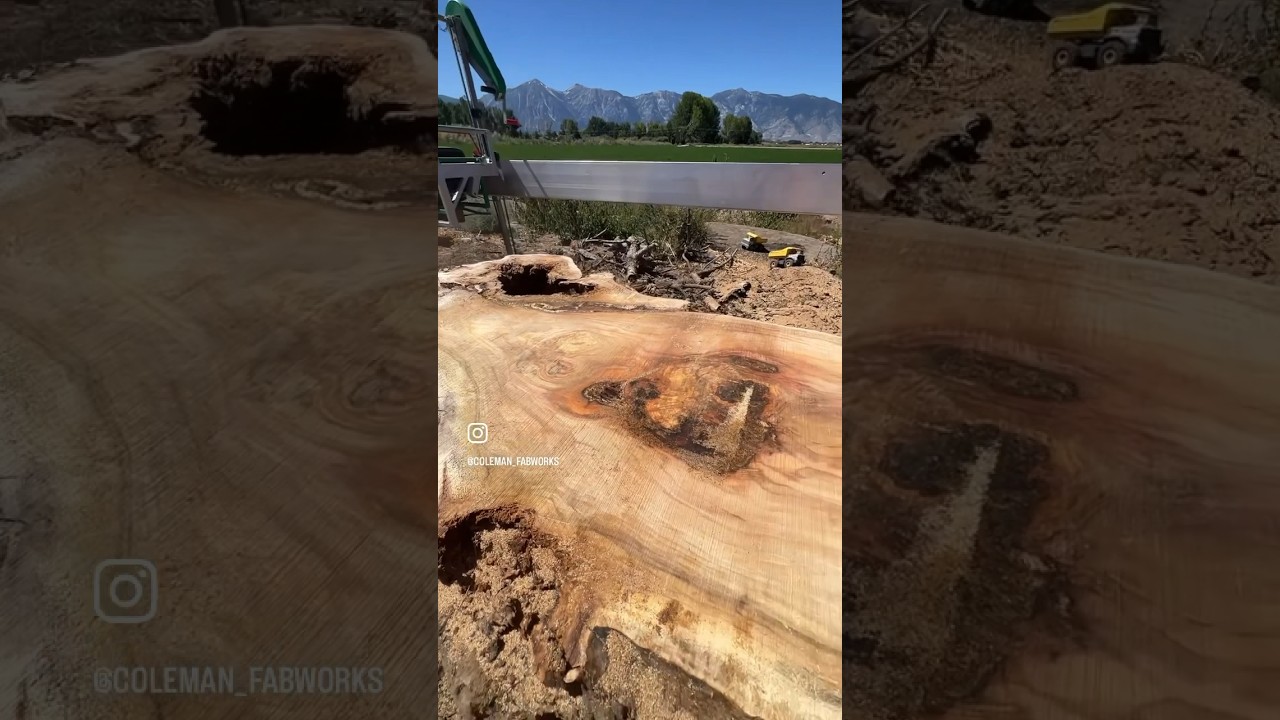Lucas mill for the big slabs. #lucasmill #sawmill #woodslabs #woodworking