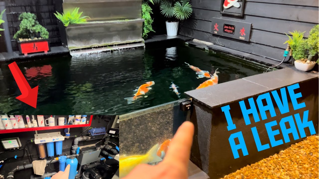 MY DREAM KOI POND HAS A LEAK**CAN I FIX IT**TALKING ABOUT HOW I KEEP A EYE ON MY PH THE EASY WAY!!